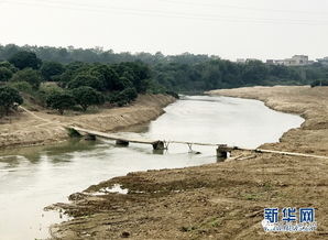高州小東江水污染治理與湛江攜手合作再上新臺階