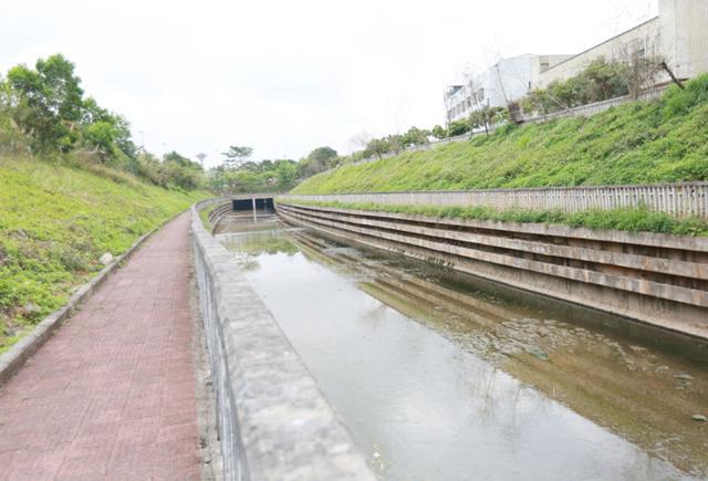 堅決打贏水污染治理攻堅戰 還龍崗居民一片水清岸綠