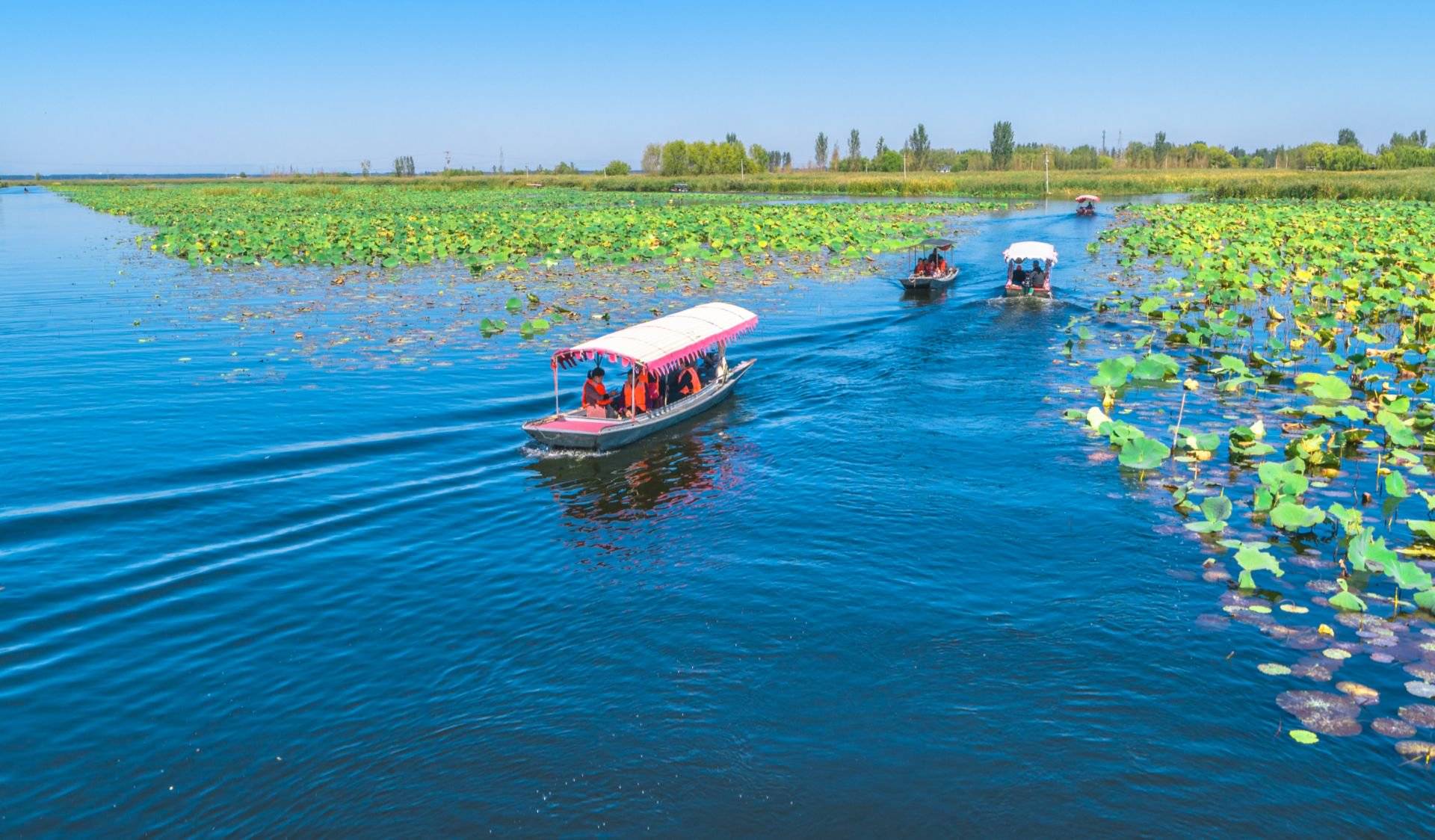 親歷白洋淀水污染治理 轟轟烈烈的戰(zhàn)役與曲折艱辛的歷程